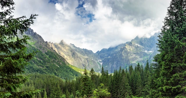 Zakopane hotele blisko Krupówek - na co warto zwrócić uwagę przy ich wyborze?