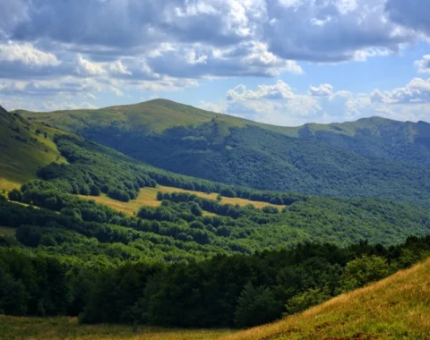 🌲🏞️ Bieszczady: Przygoda w dzikiej krainie natury! 🐸🦊🦉