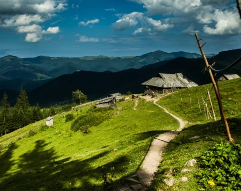 Pieniny - Oaza Przyrody I Różnorodności 🦎🦌🐺