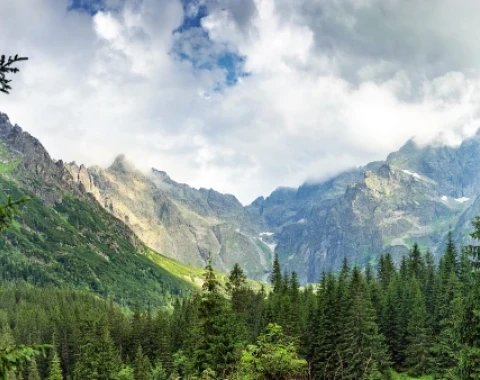 Zakopane hotele blisko Krupówek - na co warto zwrócić uwagę przy ich wyborze?